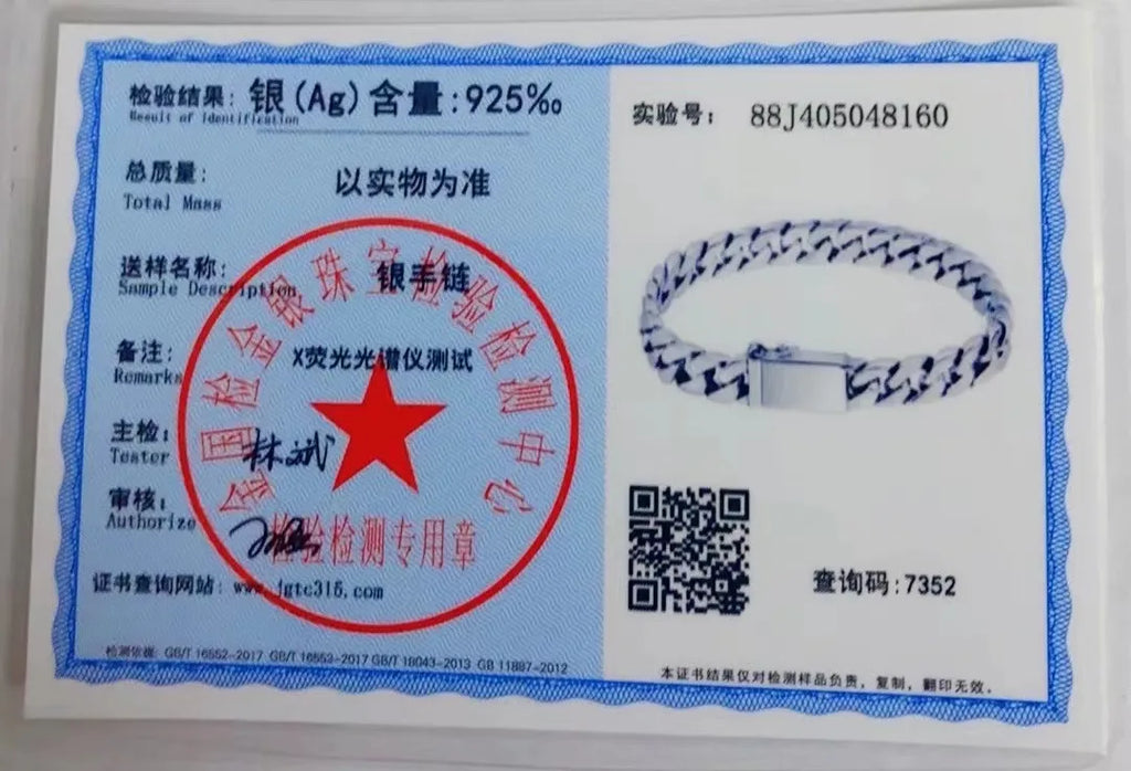 Punk Elegance S925 Silver Bracelet™